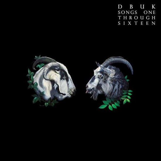 Dbuk · Songs One Through Sixteen (LP) (2022)