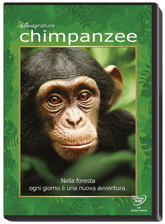 Cover for Chimpanzee - Disney Nature (DVD) (2013)