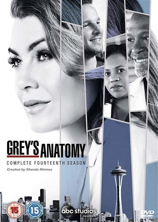 Greys Anatomy Season 14 - Greys Anatomy Season 14 - Filme - Walt Disney - 8717418535780 - 22. Oktober 2018