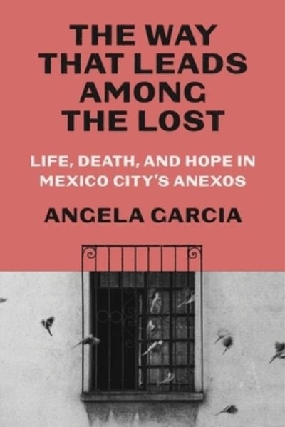 Angela Garcia · The Way That Leads Among the Lost: Life, Death, and Hope in Mexico City's Anexos (Innbunden bok) (2024)