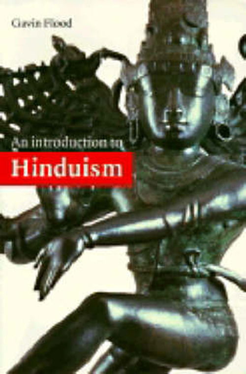 Cover for Flood, Gavin D. (University of Stirling) · An Introduction to Hinduism - Introduction to Religion (Taschenbuch) (1996)