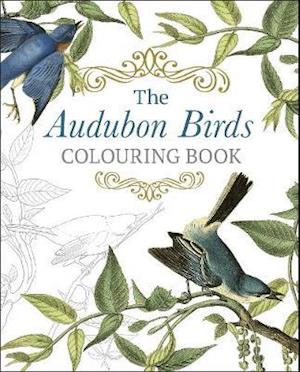 Cover for John James Audubon · The Audubon Birds Colouring Book (Paperback Book) (2020)