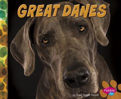 Cover for Allan Morey · Great Danes (Book) (2016)