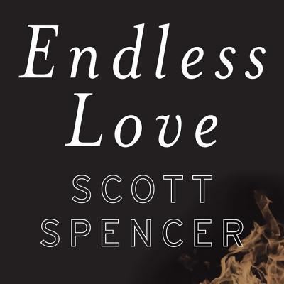 Cover for Scott Spencer · Endless Love A Novel (MP3-CD) (2017)