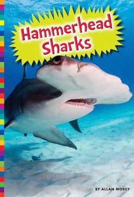 Cover for Allan Morey · Hammerhead sharks (Book) (2016)