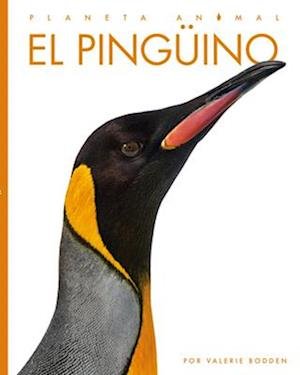 Cover for Valerie Bodden · Pingüino (Book) (2022)