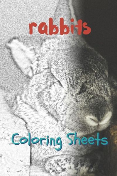 Cover for Julian Smith · Rabbit Coloring Sheets (Pocketbok) (2019)