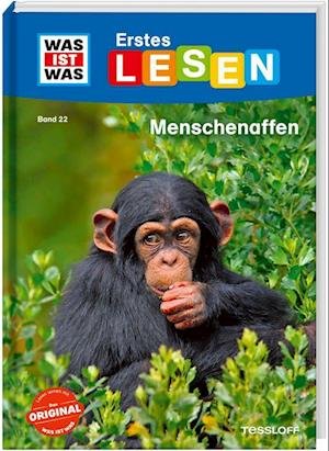 Cover for Christina Braun · WAS IST WAS Erstes Lesen Band 22. Menschenaffen (Book) (2023)