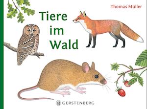 Cover for Thomas Müller · Tiere im Wald (Book) (2024)