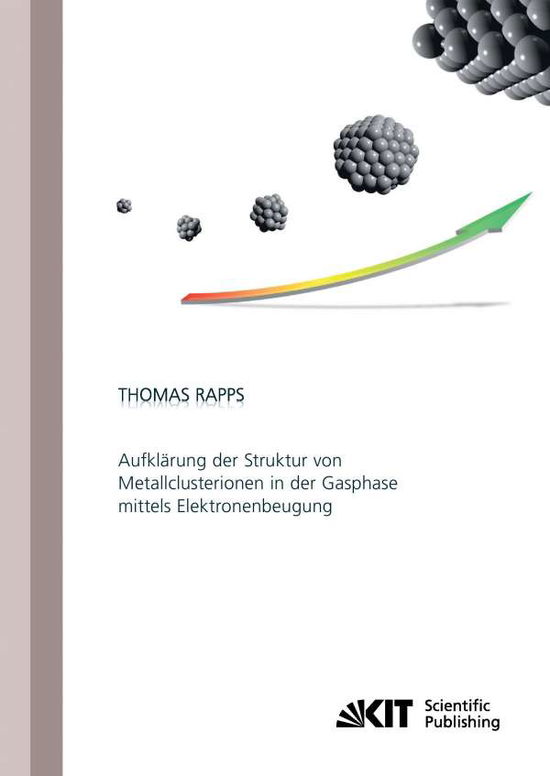 Cover for Rapps · Aufklärung der Struktur von Metal (Book) (2014)