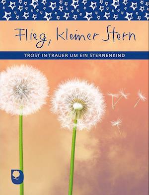 Cover for Flieg, kleiner Stern (Book) (2022)