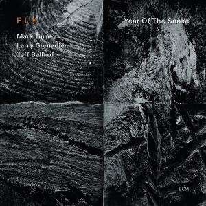 Cover for Kuhn, Steve / Steve Swallow / Joey Baron · Wisteria (CD) (2012)
