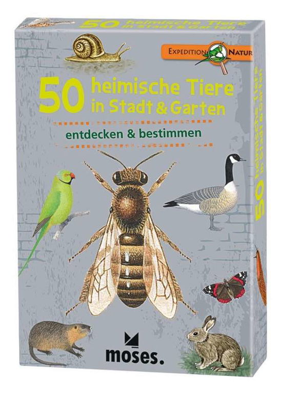 Cover for Carola von Kessel · Expedition Natur 50 heimische Tiere in Stadt &amp; Gar (Toys) (2018)