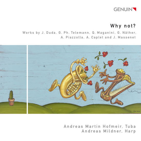 Cover for Duda / Telemann / Massenet / Hofmeir / Mildner · Why Not (CD) (2013)