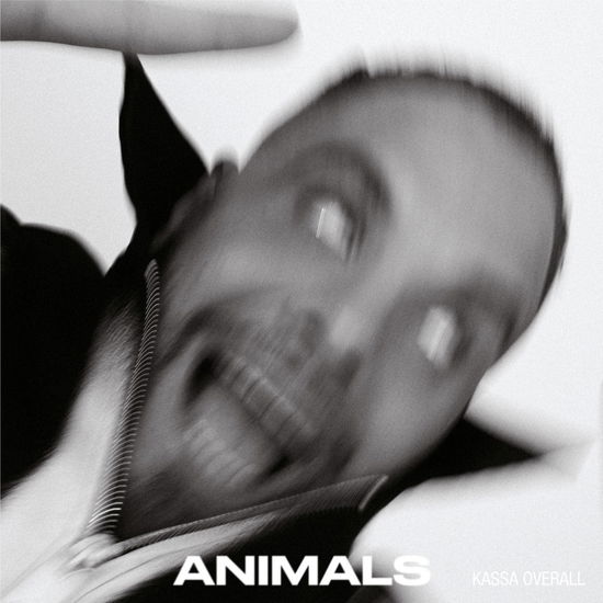 Cover for Kassa Overall · Animals (CD) (2023)