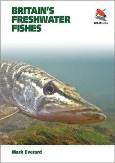 Cover for Mark Everard · Britain's Freshwater Fishes - WILDGuides of Britain &amp; Europe (Paperback Book) (2013)