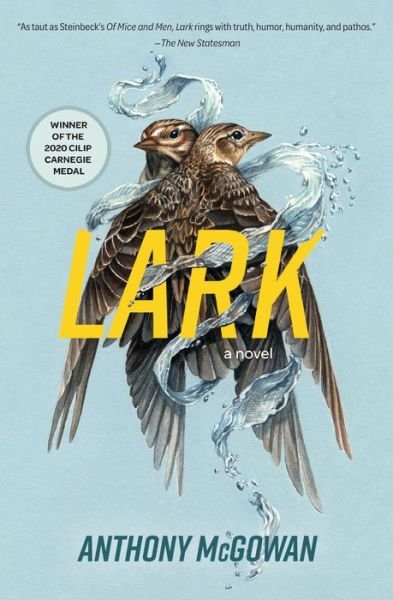 Cover for Anthony McGowan · Lark (Buch) (2024)