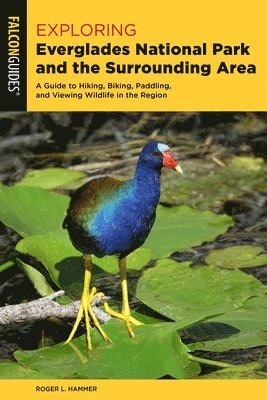 Cover for Roger L. Hammer · Exploring Everglades National Park and the Surrounding Area: A Guide to Hiking, Biking, Paddling, and Viewing Wildlife in the Region - Exploring Series (Paperback Book) [Third edition] (2025)