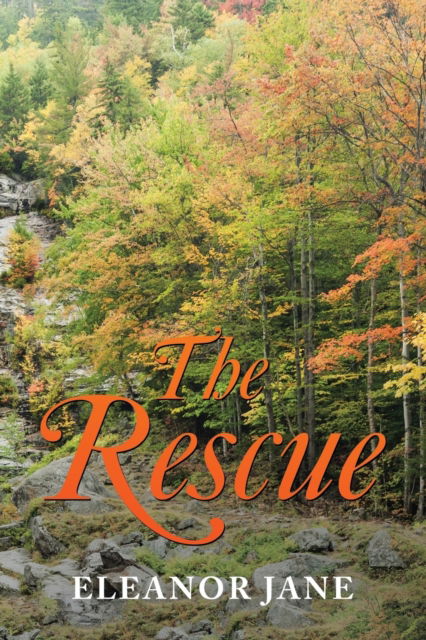 Cover for Eleanor Jane · The Rescue (Pocketbok) (2017)