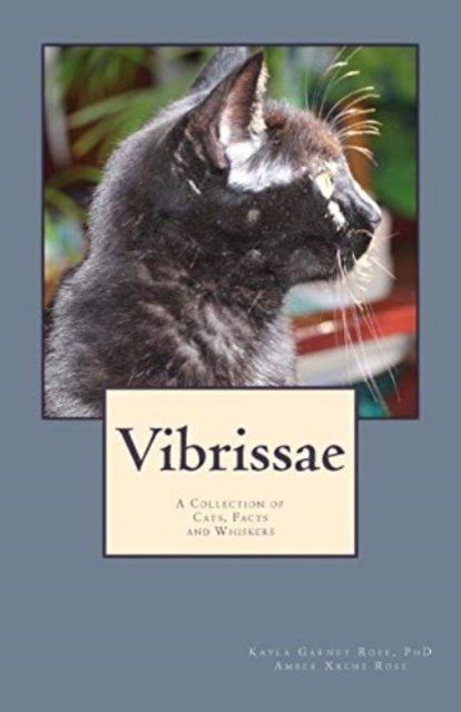 Vibrissae: A Collection of Cats, Facts and Whiskers - Rose, Kayla Garnet, PH D - Bøger - Createspace Independent Publishing Platf - 9781536984781 - 17. september 2016