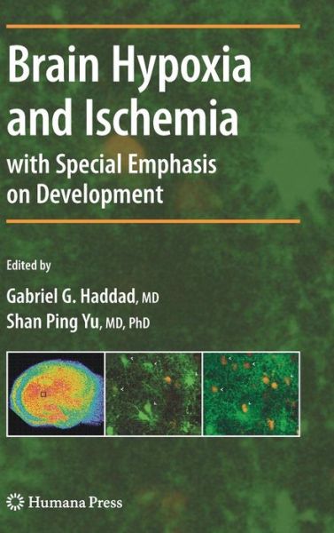 Cover for Gabriel G Haddad · Brain Hypoxia and Ischemia - Contemporary Clinical Neuroscience (Hardcover Book) [2009 edition] (2008)