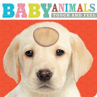 Cover for Make Believe Ideas · Baby Animals: Touch and Feel - Learning Range (Board book) (2014)