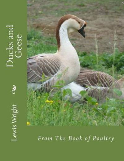 Ducks and Geese - Lewis Wright - Books - Createspace Independent Publishing Platf - 9781979402781 - November 2, 2017