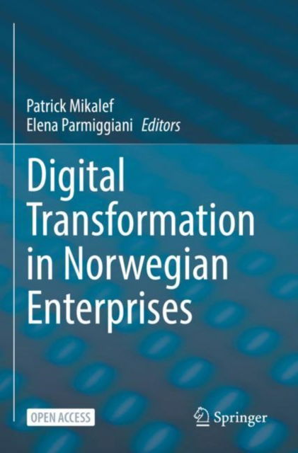 Cover for Digital Transformation in Norwegian Enterprises (Paperback Book) [1st ed. 2022 edition] (2022)