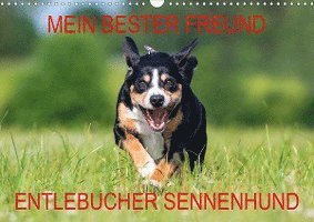 Cover for N · Mein bester Freund - Entlebucher Senn (Buch)