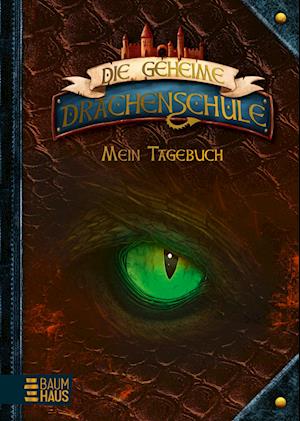 Cover for Emily Skye · Die geheime Drachenschule - Mein Tagebuch (Book) (2024)