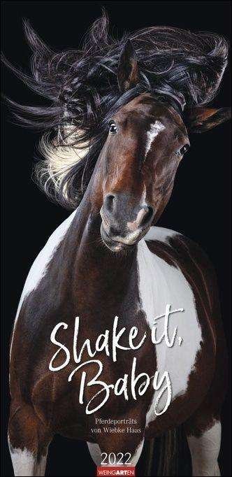 Cover for Haas · Shake it, Baby! Kalender 2022 (N/A)