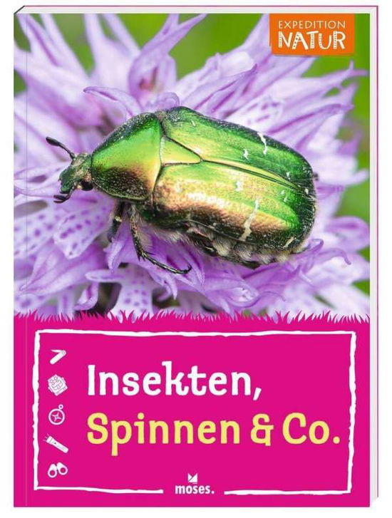 Cover for Küpper · Insekten, Spinnen &amp; Co. (Book)