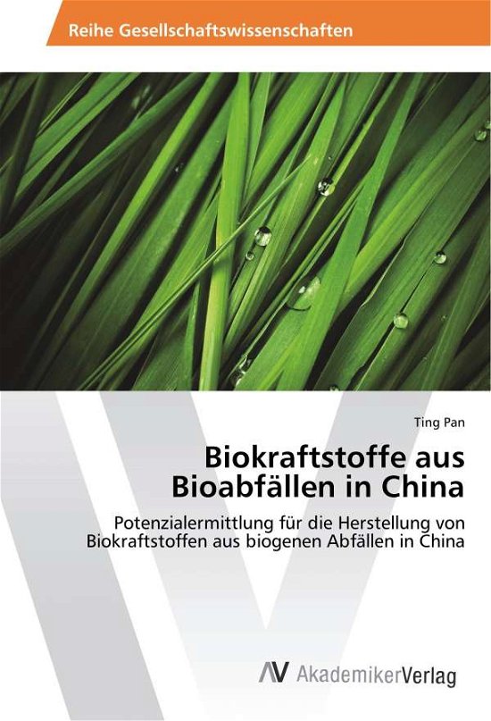 Cover for Pan · Biokraftstoffe aus Bioabfällen in C (Book)