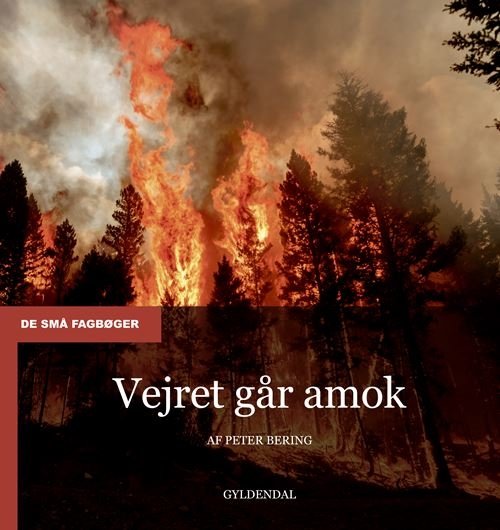 Cover for Peter Bering · De små fagbøger: Vejret går amok (Sewn Spine Book) [1. Painos] (2024)
