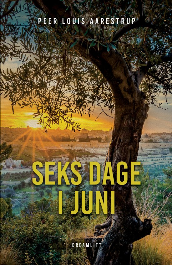Cover for Peer Louis Aarestrup · Seks dage i juni (Sewn Spine Book) [1st edition] (2022)