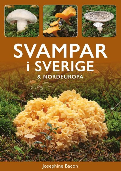 Cover for Josephine Bacon · Svampar i Sverige &amp; Nordeuropa (Paperback Book) (2025)