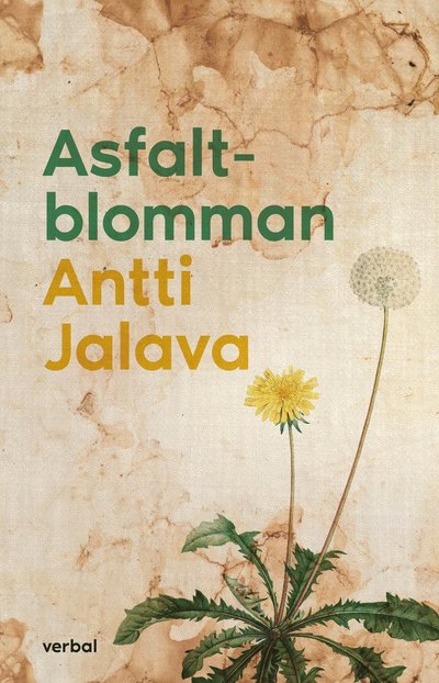 Cover for Antti Jalava · Asfaltblomman (Hardcover Book) (2024)