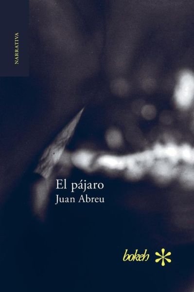 Cover for Juan Abreu · El P Jaro (Paperback Bog) (2017)