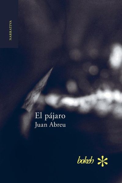 El P Jaro - Juan Abreu - Books - LIGHTNING SOURCE UK LTD - 9789491515781 - June 2, 2017