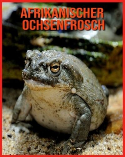 Afrikanischer Ochsenfrosch - Alicia Moore - Books - Independently Published - 9798709397781 - February 14, 2021