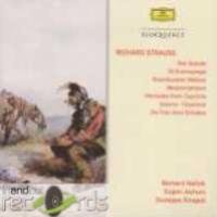 Cover for Richard Strauss · Richard Strauss: Don Quixote / Till Eulenspiegel / Rosenkavalier/ (CD) (2013)