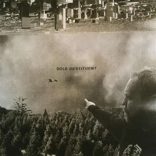 Cover for Sole · Destituent (LP) (2019)