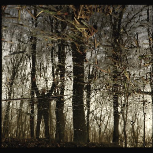 Cover for Apoptose · Bannwald (CD) (2010)