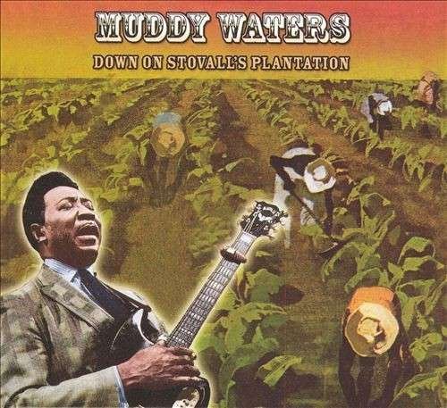 Down on Stovall's Plantation - Muddy Waters - Musikk - DOXY - 8013252886782 - 22. januar 2013