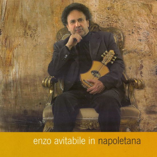 Cover for Enzo Avitabile · Napoletana (CD) (2015)