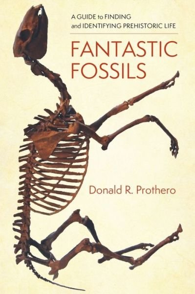 Cover for Donald R. Prothero · Fantastic Fossils: A Guide to Finding and Identifying Prehistoric Life (Hardcover bog) (2020)