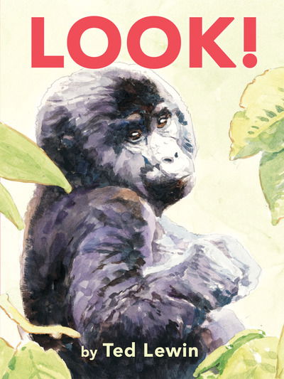 Cover for Ted Lewin · Look! (Board book) (2019)