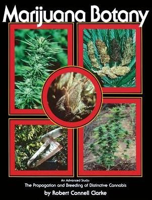 Cover for Robert Connell Clarke · Marijuana Botany: An Advanced Study: The Propagation and Breeding of Distinctive Cannabis (Paperback Book) (1981)