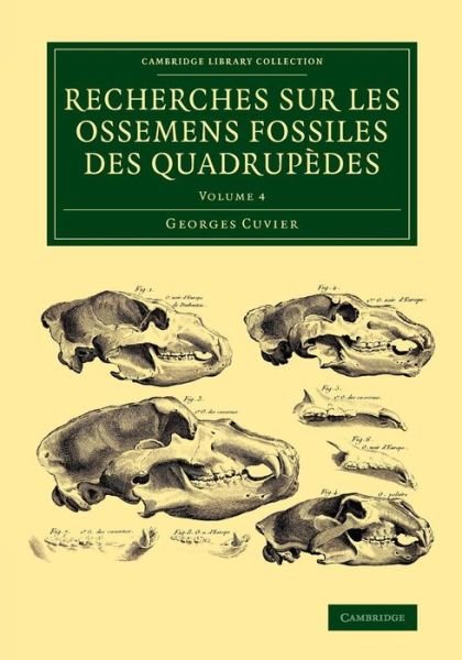 Cover for Georges Cuvier · Recherches sur les ossemens fossiles des quadrupedes - Cambridge Library Collection - Earth Science (Paperback Bog) (2015)