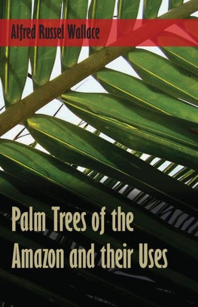 Cover for Alfred Russel Wallace · Palm Trees of the Amazon and their Uses (Pocketbok) (2016)